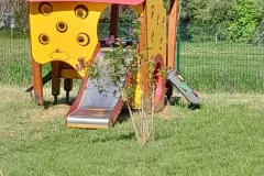 img_creche_exterieur1